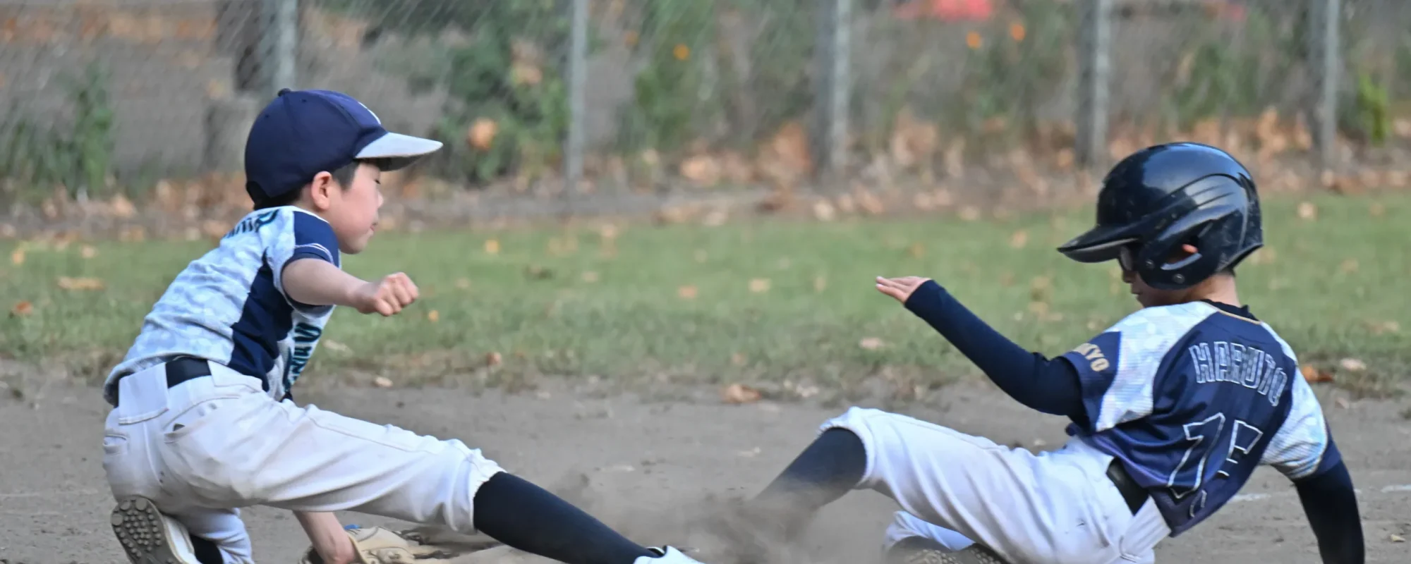 1323243-3243-00784_11_11zon